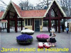 Visite du jardin Keukenhof en Hollande