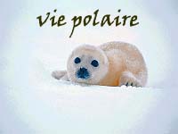 Vie polaire