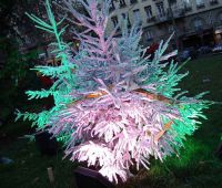 Sapin de Noël