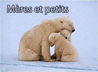 Les mèreset leurs petits