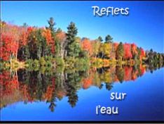 Reflets sur l'eau