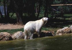 Ours
