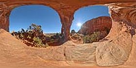 Pine Tree Arch