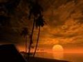 Coucher de soleil